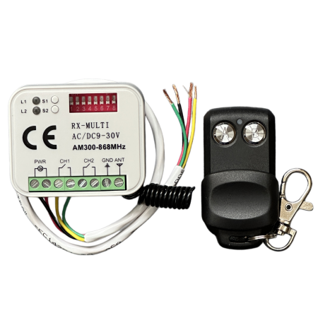 HOMELINK receiver with remote